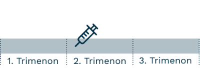 Zeitstrahl für COVID-19-Impfung während der Schwangerschaft, 2. Trimenon